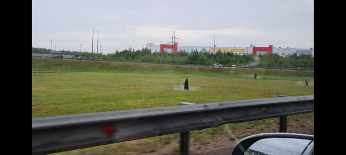 Они настоящие!