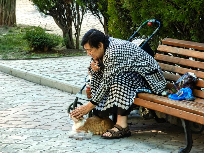 Pet the cat - My, The photo, Street photography, cat, Evpatoria, Crimea, City walk, Canon