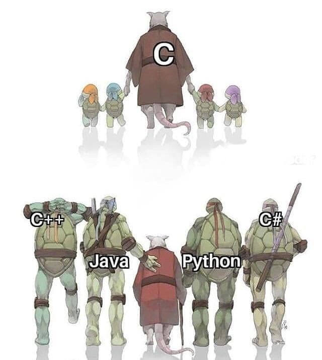 It all started with him - Programming, Humor, IT humor, Python, IT, Programmer, Java, C ++