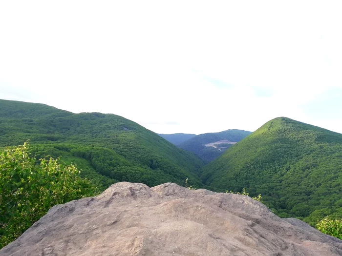 View from above - My, The photo, Nature, Sakhalin, The mountains, The rocks, beauty of nature, Forest, Mobile photography