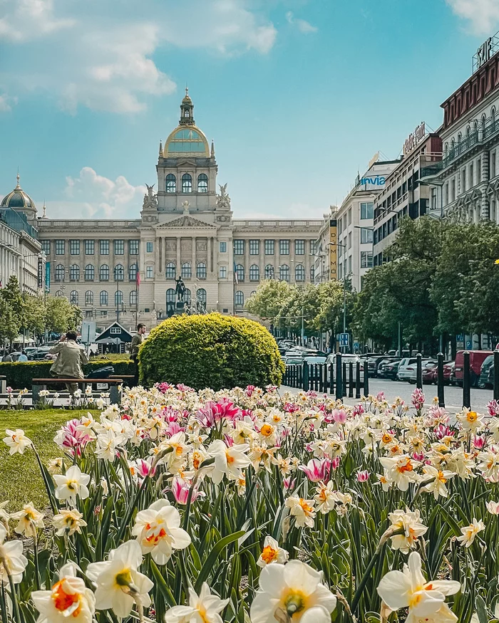 Wenceslas Square - My, Wenceslas Square, Czech, Prague, The photo