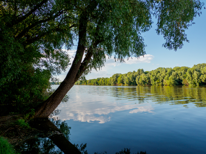 Москва-река в Коломне