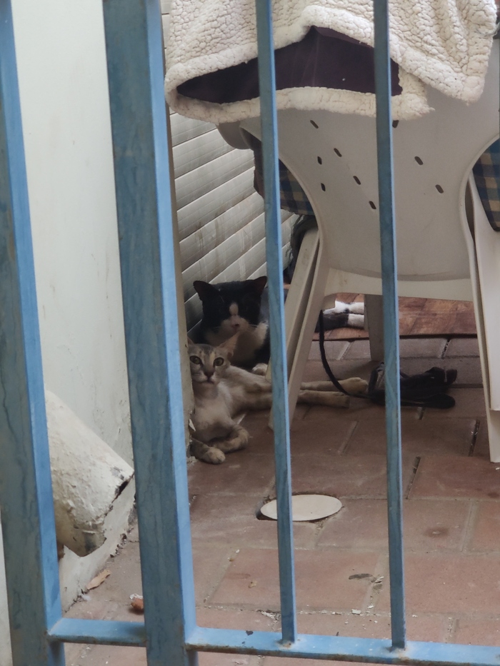 Мне кажется они что то задумывают