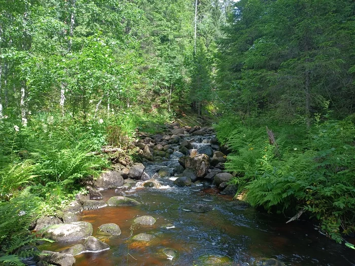 Cycling with a child in Karelia - My, Bike ride, Relaxation, Tourism, Карелия, Longpost