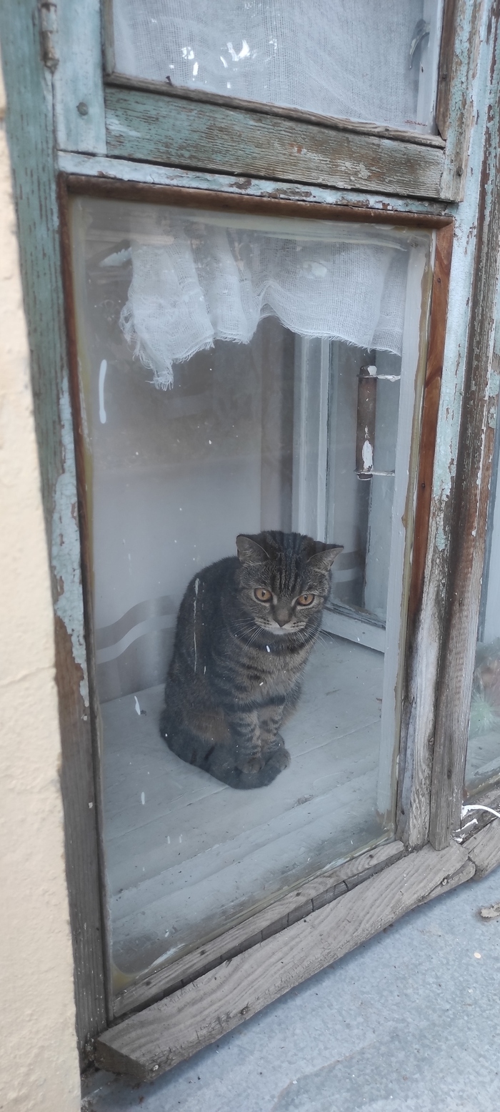 ��� �� ���������