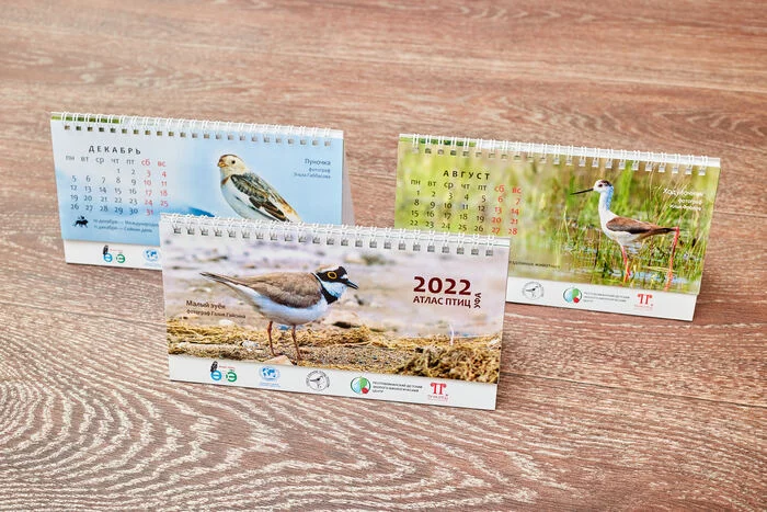 Calendar with birds 2022 - My, Birds, 2022, Ornithology, Bashkortostan, Ufa, Photo hunting, The calendar, Longpost