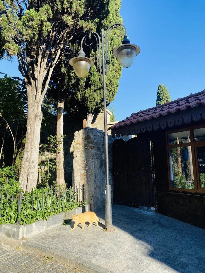 Walking the streets of Gurzuf, you involuntarily feel like a foreign tourist... - My, Туристы, Tourism, Hike, Mountain tourism, Travels, Crimea, Relaxation, Vacation, Longpost