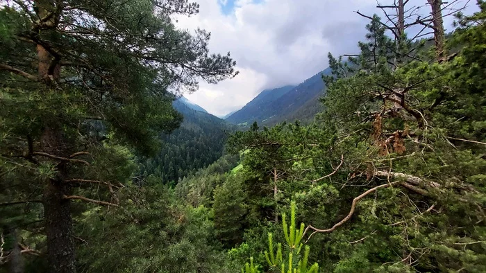 Teberda-Arkhyz in July - My, Hike, Caucasus, The mountains, Tourism, Mountain tourism, Nature, The photo, Longpost