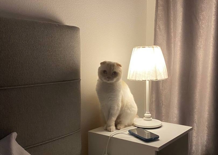 ,   ,  