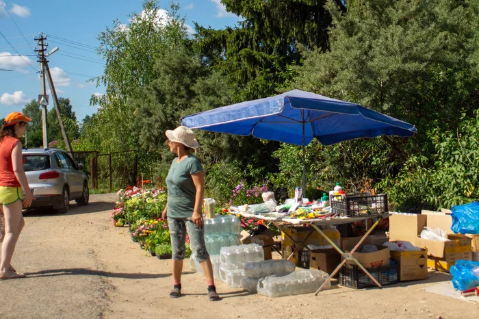 Market day - My, The photo, Summer, Longpost