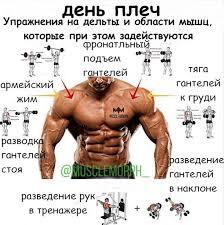 Shoulder day how to develop - Sport, Exercises, Physical Education, Men's breasts