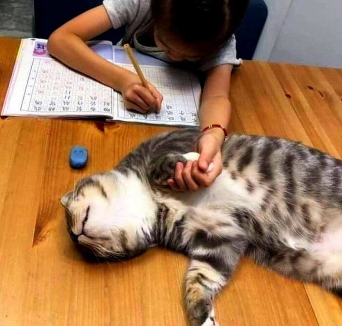    , , 