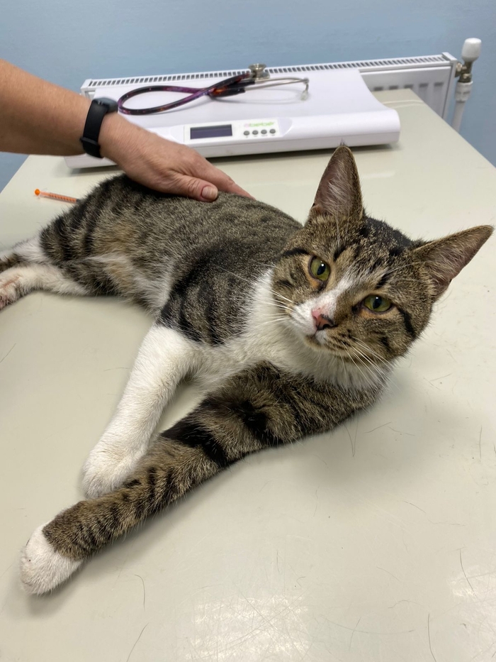 ����������� ������, �������� � �����!