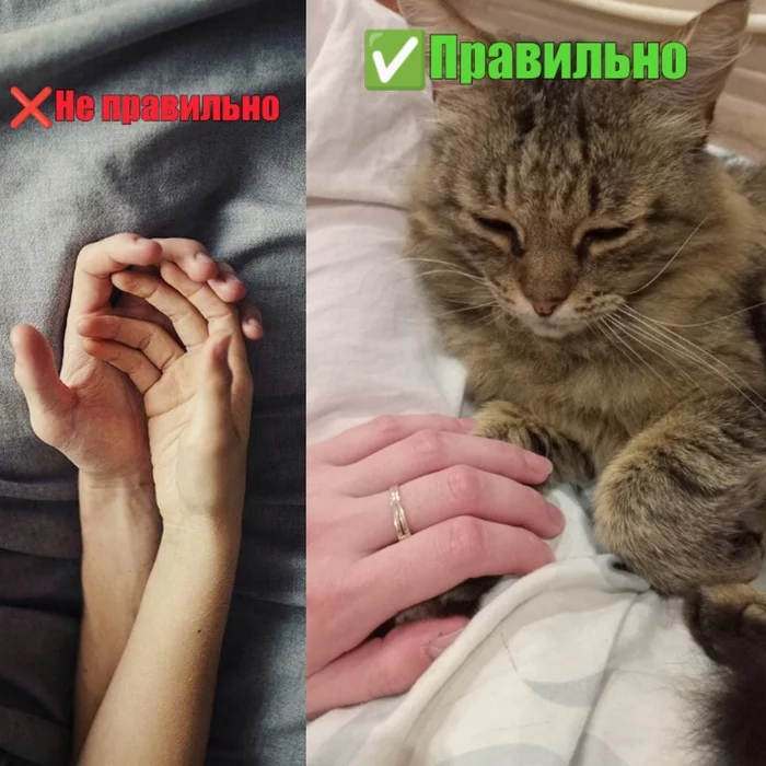 Котькины лапки - Моё, Кот, Лапки, Животные, Милота, Любовь, Картинка с текстом