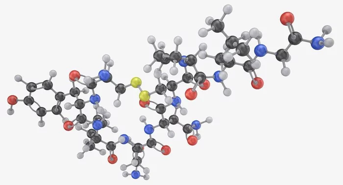 Favoritism and natural selection - My, Parents, Parents and children, Family, Natural selection, Oxytocin, Favouritism