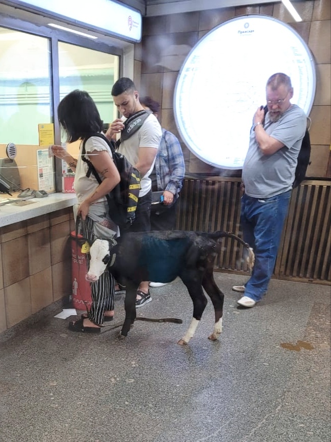 Metro Prazhskaya, Moscow - Video, Moscow Metro, Calf