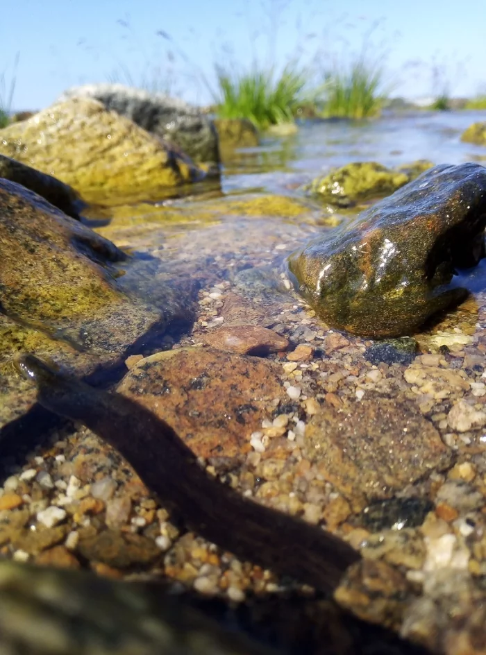 Stream - My, Mobile photography, The sun, Sky, Clouds, Grass, A rock