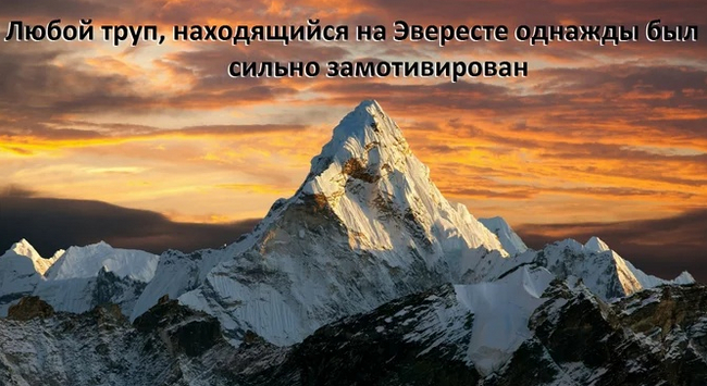 Can not argue with that - Black humor, Motivation, Everest, Picture with text