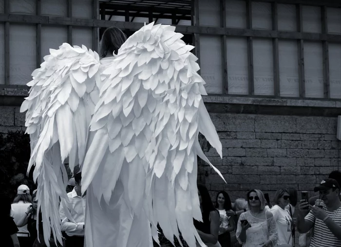 And an angel will come - My, The photo, Wings, Black and white photo, Angel, Animator, The festival