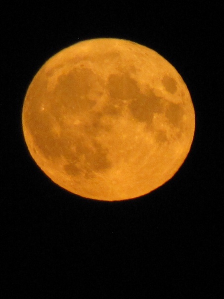 Blood Moon. - My, Crimea, Evpatoria, moon, Super moon, Black Sea, Longpost