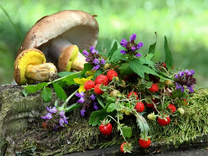What fruits, berries, mushrooms will help improve the life of a diabetic? - Health, Disease, Diet, Diabetes, Nutrition, Фрукты, Berries, Mushrooms, Longpost