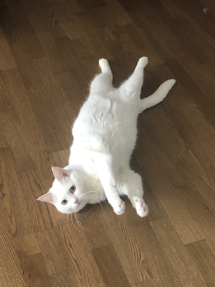 ������� ������!