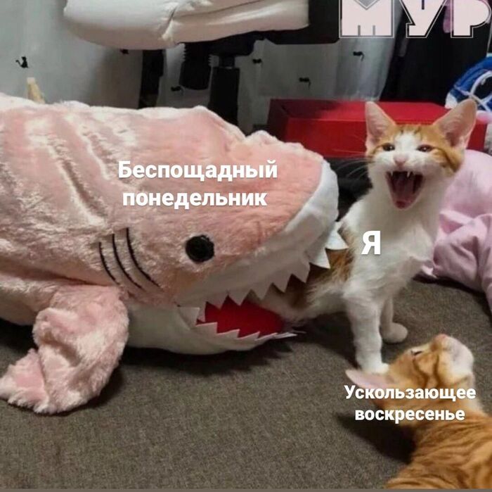 Почти понедельничное