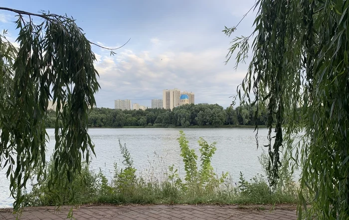 Borisov Ponds - My, Borisovskie Prudy, Moscow, Calmness, Church, Town, Water