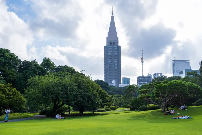 Japan, Tokyo, Shinjuku Gyoen - Моё, Япония, Фотография, Сады, Природа, Токио