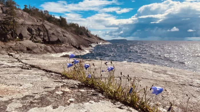 Ladoga. Impilahti - My, Ladoga, Travels, sights, Lake