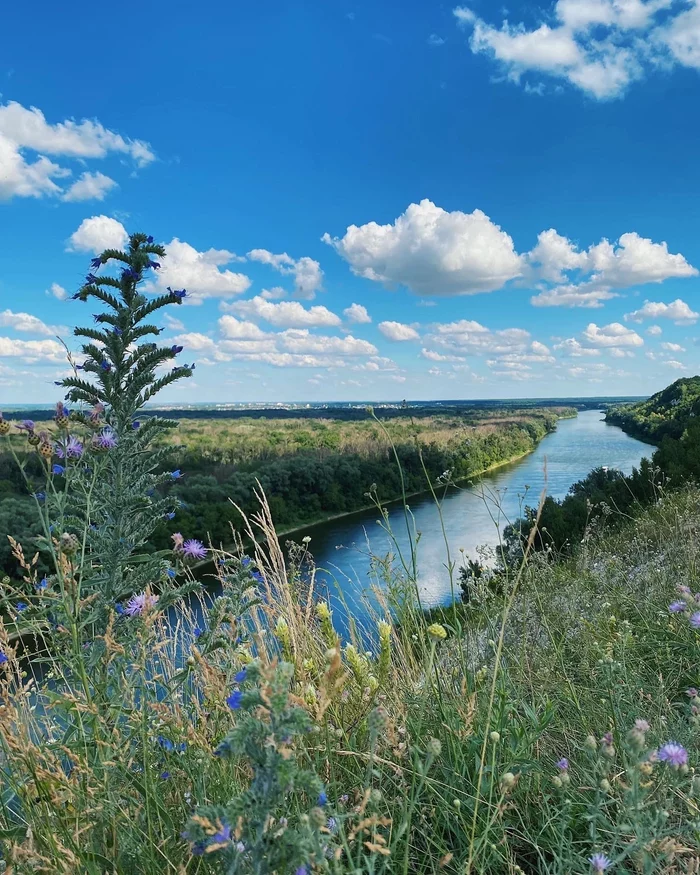 Don River, Voronezh Region - Voronezh region, Nature, The photo, Don River