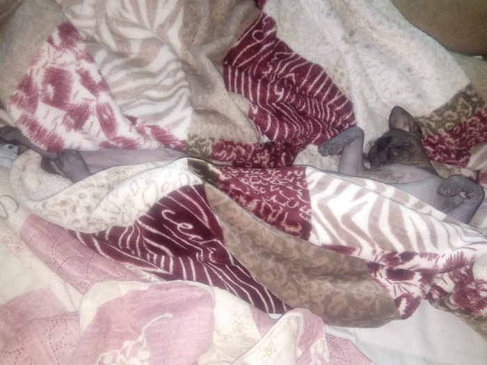 ����� �����!