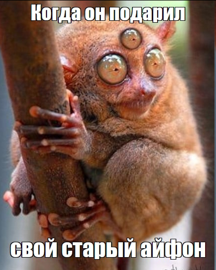 Обманутые ожидания...