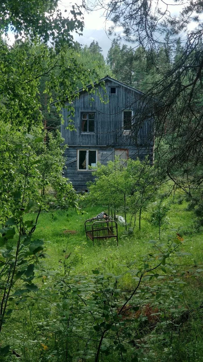 Just a house in the forest in Karelia - My, Mobile photography, Карелия