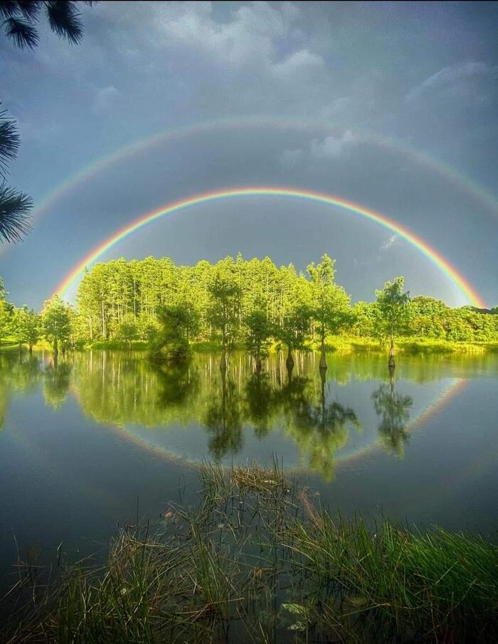 Double Rainbow - Forest, Lakes, Rainbow, Natural phenomena, Atmospheric phenomenon, Nature, beauty of nature, Beautiful, beauty, Double Rainbow