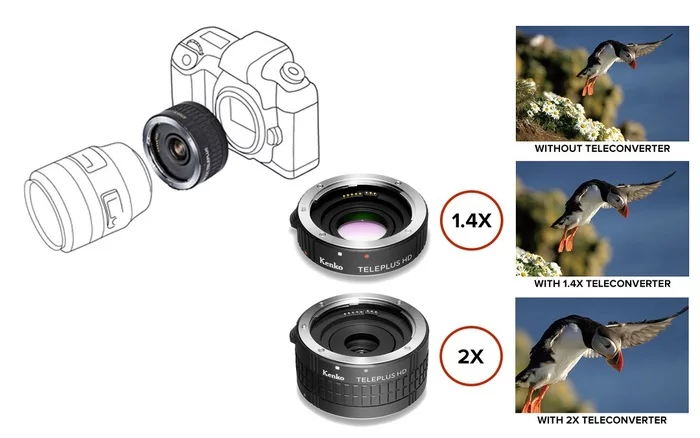 Closeup for beginners - My, The photo, Macro photography, Lens, Management, Tutorial, Camera, Beginning photographer, Video, Youtube, Longpost, Nikon, Canon