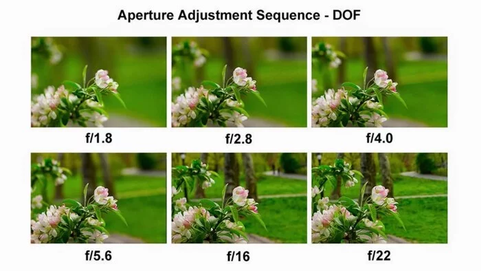 Closeup for beginners - My, The photo, Macro photography, Lens, Management, Tutorial, Camera, Beginning photographer, Video, Youtube, Longpost, Nikon, Canon