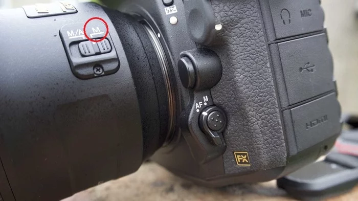 Closeup for beginners - My, The photo, Macro photography, Lens, Management, Tutorial, Camera, Beginning photographer, Video, Youtube, Longpost, Nikon, Canon