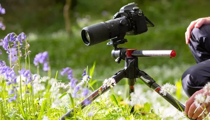 Closeup for beginners - My, The photo, Macro photography, Lens, Management, Tutorial, Camera, Beginning photographer, Video, Youtube, Longpost, Nikon, Canon