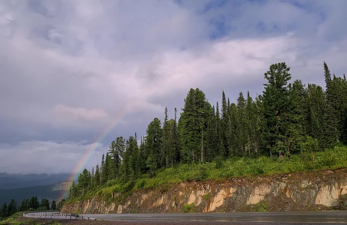 rainbow path - My, Rainbow, beauty of nature, Road, Mobile photography, Weather, Siberia