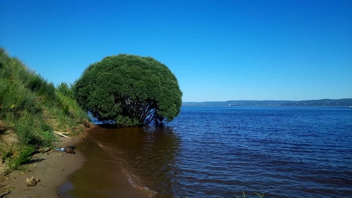 Wild beach - My, Volga river, beauty of nature, Summer, The nature of Russia