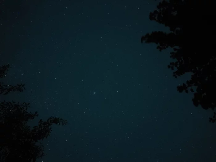 Can this be called a professional photo? - My, Longpost, Mobile photography, Starry sky