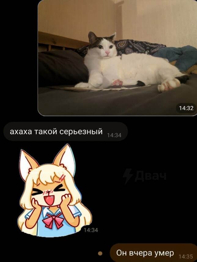  ,    , , 