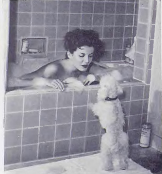 Playboy Lady with the Dog - Joan Bradshaw, Miss Texas 1953 - NSFW, Girls, Actors and actresses, Nudity, Playboy, Royal Poodle, Lady with a dog, Hollywood, 60th, Erotic, Naked stars, Nudity, Bikini, Topless, Peignoir, Bathing, Bathroom, Soap, Foam, Longpost