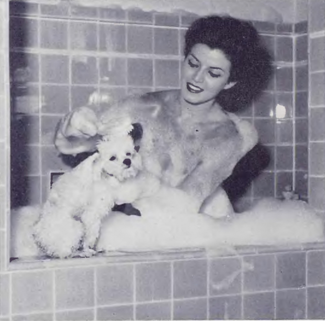 Playboy Lady with the Dog - Joan Bradshaw, Miss Texas 1953 - NSFW, Girls, Actors and actresses, Nudity, Playboy, Royal Poodle, Lady with a dog, Hollywood, 60th, Erotic, Naked stars, Nudity, Bikini, Topless, Peignoir, Bathing, Bathroom, Soap, Foam, Longpost