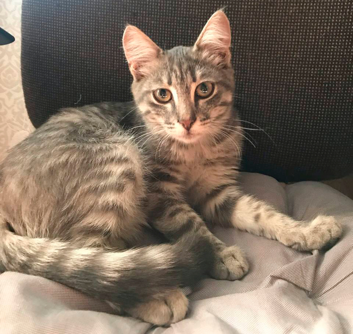 ����������� � ����!