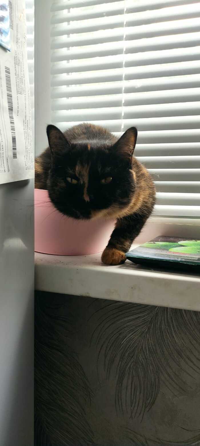 "������" ����!