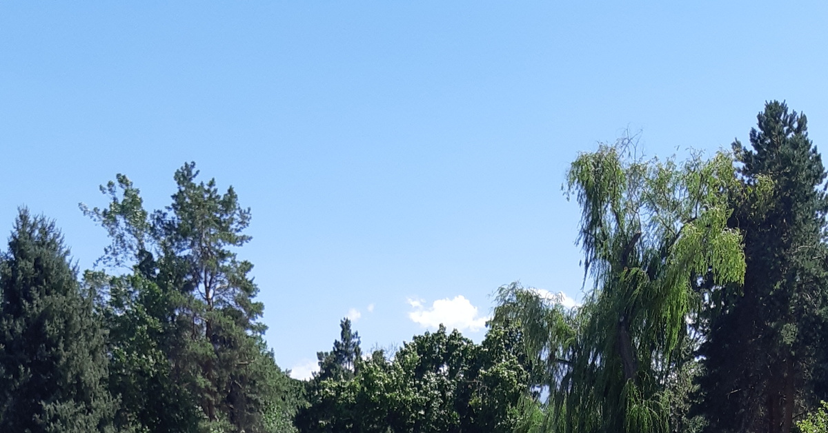 РаботаЗдравствуйте!Кто может посоветовать работу, с выплатой каждый ...