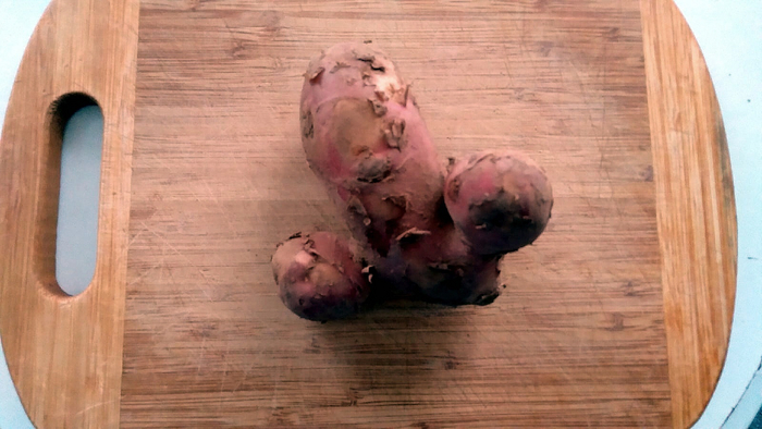 ���� �������, �������� ������ �� �����