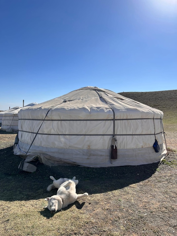 Путешествие по Монголии. 3 часть Природа, Туризм, Путешествия, Монголия, Горы, Пейзаж, Длиннопост